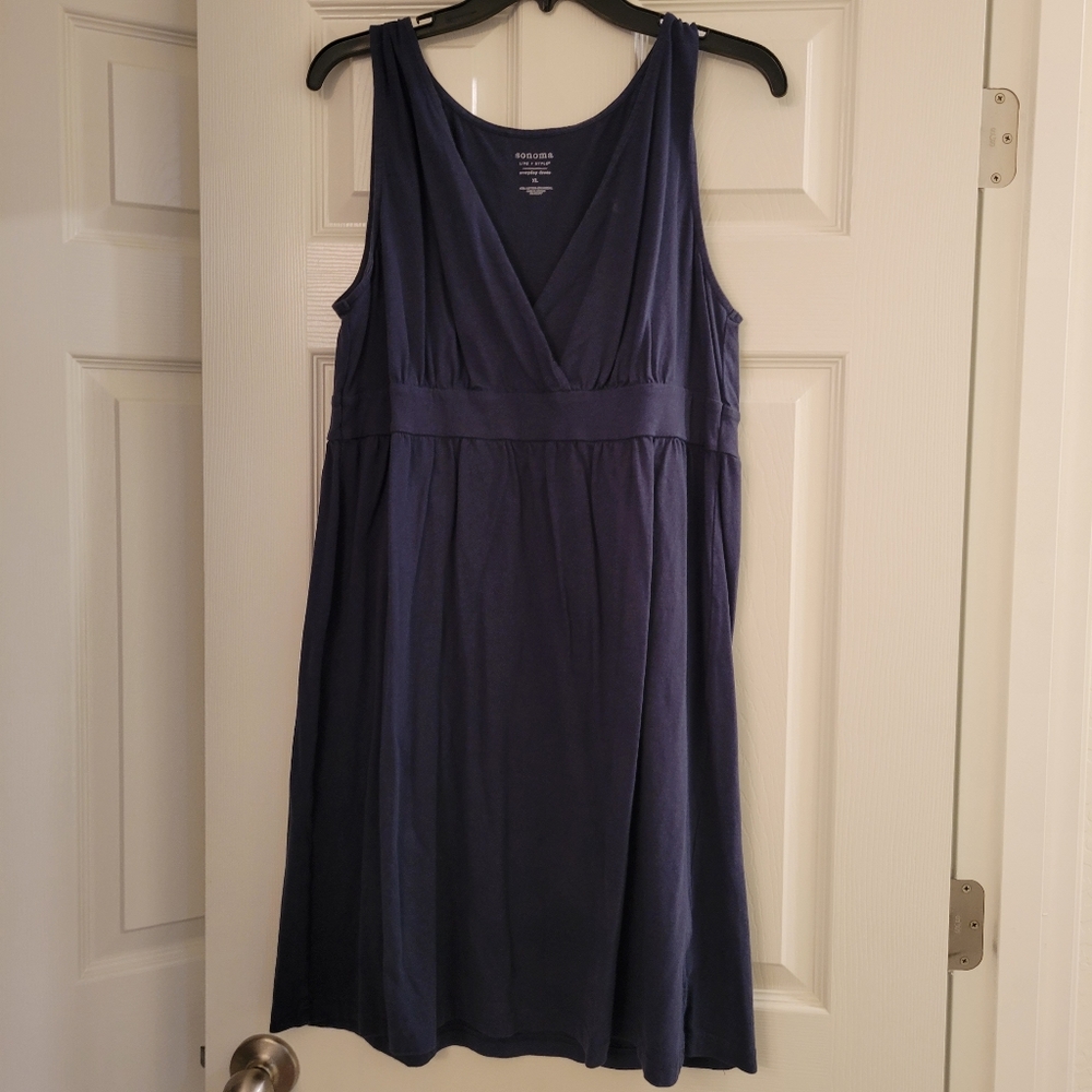 Blue sleeveless dress